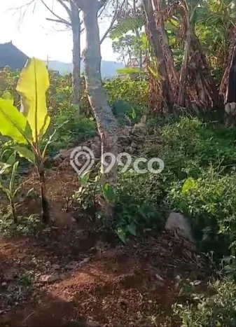 Tanah Dijual di Buleleng Seluas 3800m2 Strategis Tanah Dijual di Buleleng Seluas 3800m2 Strategis