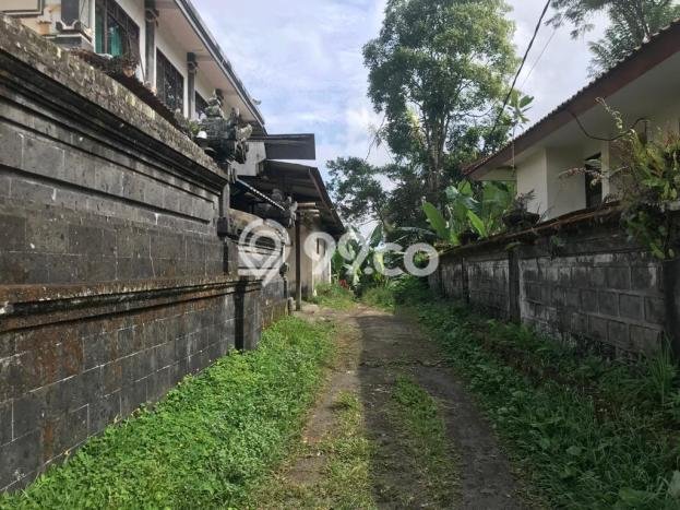 Tanah Kavling Dijual di Gianyar dengan Spesifikasi 23555m2 Tanah Kavling Dijual di Gianyar dengan Spesifikasi 23555m2