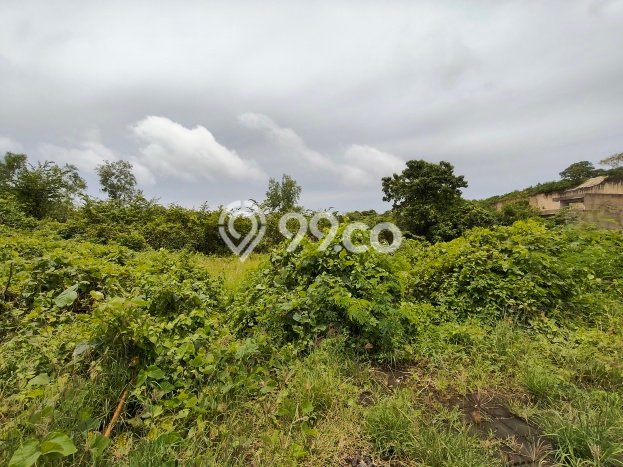 Dijual Tanah di Badung, Luas 307m2 SHM Dijual Tanah di Badung, Luas 307m2 SHM