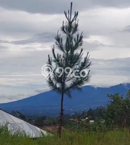 Tanah Dijual Lokasi Kintamani, Bangli Luas 5790m2 Legalitas Aman Tanah Dijual Lokasi Kintamani, Bangli Luas 5790m2 Legalitas Aman