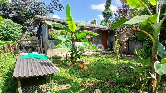 Dijual Tanah di Baturiti Tabanan Luas 2780m2 SHM Dijual Tanah di Baturiti Tabanan Luas 2780m2 SHM