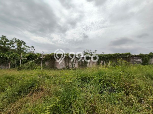 Kavling Tanah Dijual di Denpasar Utara Denpasar Spesifikasi 2440m2 Kavling Tanah Dijual di Denpasar Utara Denpasar Spesifikasi 2440m2