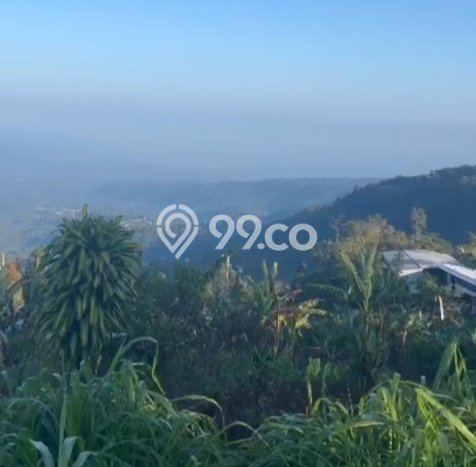 Dijual Tanah Lokasi Munduk, Buleleng Seluas 445m2 Dijual Tanah Lokasi Munduk, Buleleng Seluas 445m2