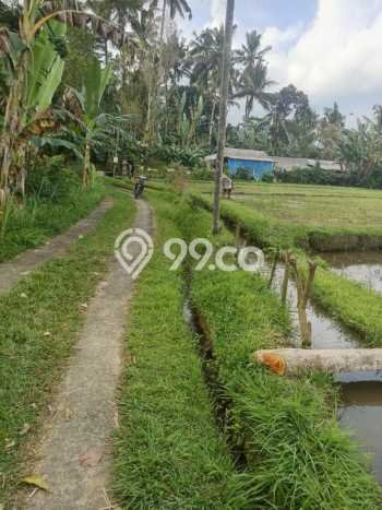 Tanah Kavling untuk Dijual di Penebel Tabanan 4180m2 Tanah Kavling untuk Dijual di Penebel Tabanan 4180m2