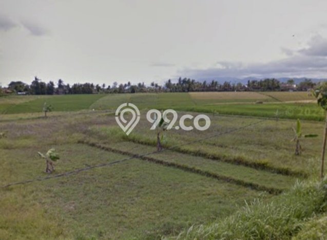 Tanah Dijual di Tabanan Seluas 4250m2 Strategis Tanah Dijual di Tabanan Seluas 4250m2 Strategis
