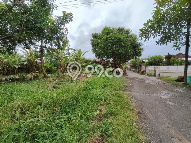Tanah Investasi Dijual di Badung Punya Luas 200m2 Tanah Investasi Dijual di Badung Punya Luas 200m2
