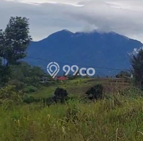 Tanah Dijual Lokasi Kintamani, Bangli Luas 5790m2 Legalitas Aman Tanah Dijual Lokasi Kintamani, Bangli Luas 5790m2 Legalitas Aman