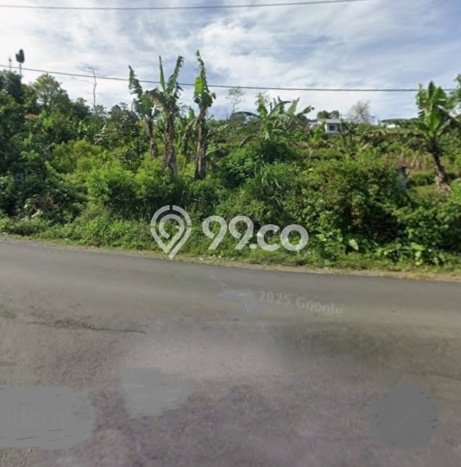 Dijual Tanah Lokasi Munduk, Buleleng Seluas 445m2 Dijual Tanah Lokasi Munduk, Buleleng Seluas 445m2
