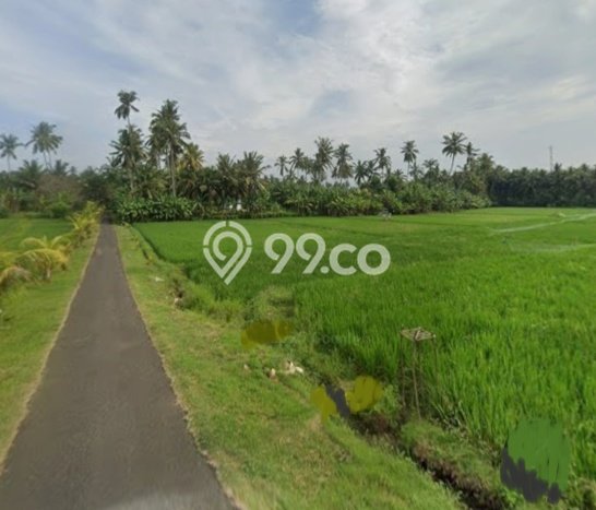 Untuk Dijual Tanah 4805m2 di Pangyangan, Jembrana Untuk Dijual Tanah 4805m2 di Pangyangan, Jembrana