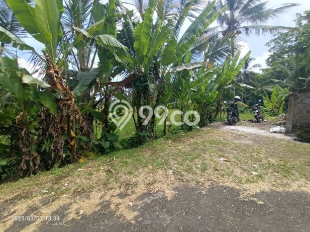 Tanah Dijual Area Strategis di Kenderan Gianyar 1372m2 Tanah Dijual Area Strategis di Kenderan Gianyar 1372m2