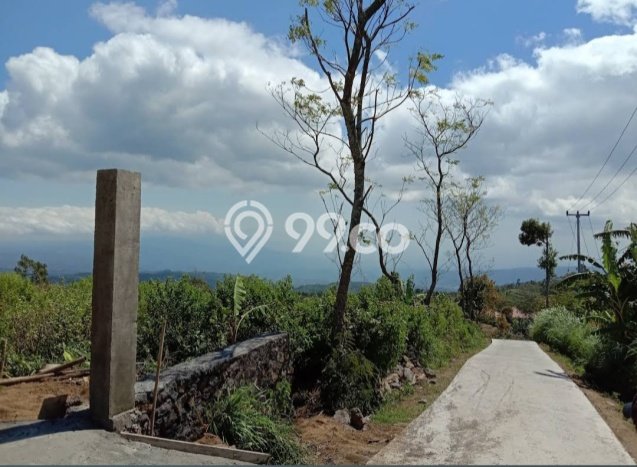 Dijual Tanah Lokasi Gesing, Buleleng Seluas 5225m2 Dijual Tanah Lokasi Gesing, Buleleng Seluas 5225m2
