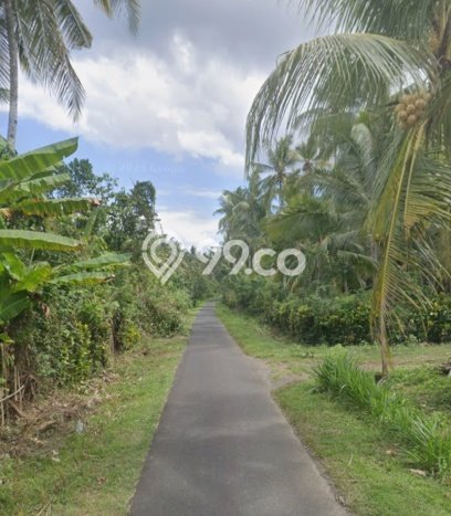 Tanah Siap Bangun Dijual di Jembrana Punya Luas 45000m2 Tanah Siap Bangun Dijual di Jembrana Punya Luas 45000m2