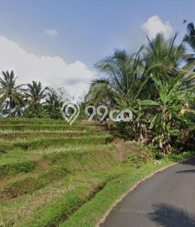 Tanah Dijual Area Strategis di Megati Tabanan 8750m2 Tanah Dijual Area Strategis di Megati Tabanan 8750m2