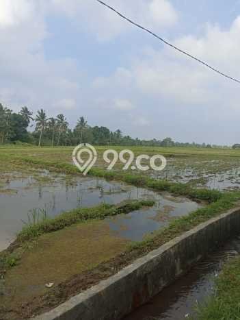 Tanah Kavling untuk Dijual di Penebel Tabanan 4180m2 Tanah Kavling untuk Dijual di Penebel Tabanan 4180m2