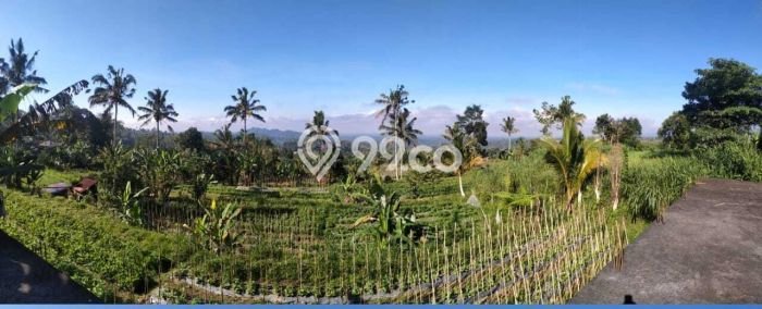 Dijual Tanah di Baturiti Tabanan Luas 2780m2 SHM Dijual Tanah di Baturiti Tabanan Luas 2780m2 SHM