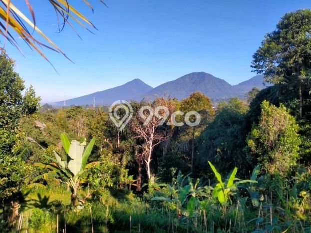 Dijual Tanah di Baturiti Tabanan Luas 2780m2 SHM Dijual Tanah di Baturiti Tabanan Luas 2780m2 SHM