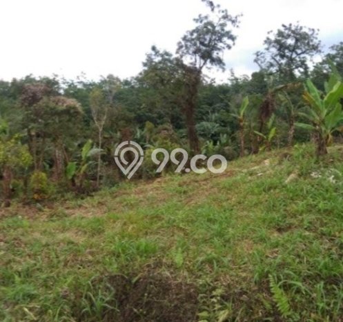 Dijual Tanah di Selemadeg Tabanan Luas 12000m2 SHM Dijual Tanah di Selemadeg Tabanan Luas 12000m2 SHM