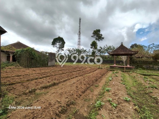 Tanah Dijual Lokasi Kintamani, Bangli Luas 7290m2 Legalitas Aman Tanah Dijual Lokasi Kintamani, Bangli Luas 7290m2 Legalitas Aman