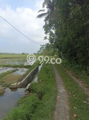 Tanah Kavling untuk Dijual di Penebel Tabanan 4180m2 Tanah Kavling untuk Dijual di Penebel Tabanan 4180m2