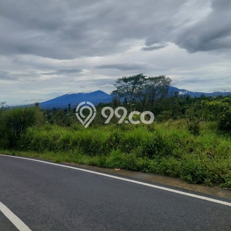 Tanah Dijual Lokasi Kintamani, Bangli Luas 5790m2 Legalitas Aman Tanah Dijual Lokasi Kintamani, Bangli Luas 5790m2 Legalitas Aman