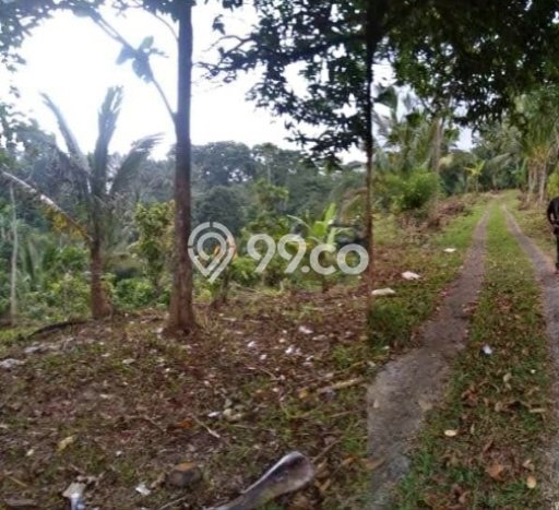Dijual Tanah di Selemadeg Tabanan Luas 12000m2 SHM Dijual Tanah di Selemadeg Tabanan Luas 12000m2 SHM