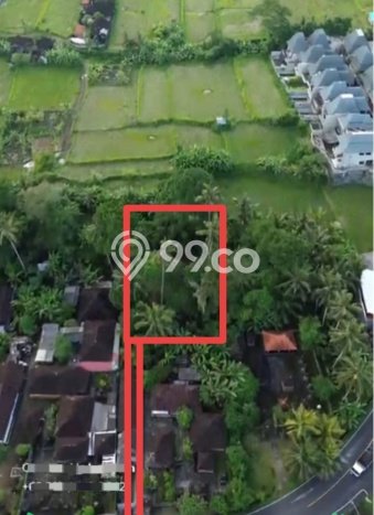 Jarang Ada! Tanah Kavling Disewakan di Gianyar 905m2 Jarang Ada! Tanah Kavling Disewakan di Gianyar 905m2
