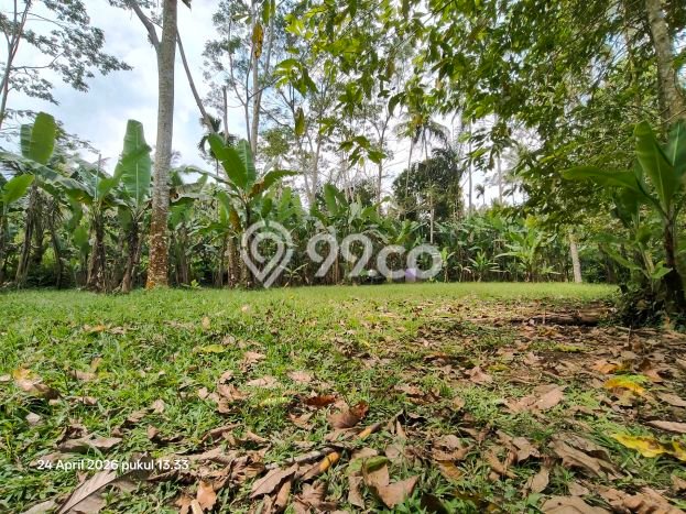 Dijual Tanah Lokasi Pupuan, Gianyar Seluas 1389m2 Dijual Tanah Lokasi Pupuan, Gianyar Seluas 1389m2
