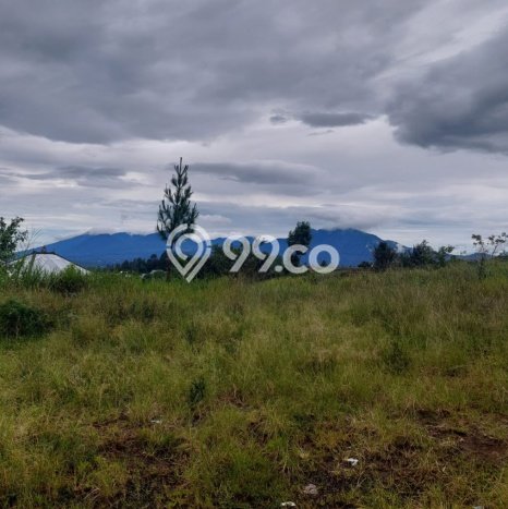 Tanah Dijual Lokasi Kintamani, Bangli Luas 5790m2 Legalitas Aman Tanah Dijual Lokasi Kintamani, Bangli Luas 5790m2 Legalitas Aman