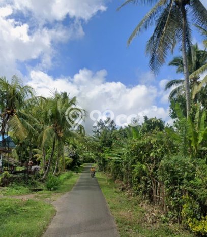 Tanah Siap Bangun Dijual di Jembrana Punya Luas 45000m2 Tanah Siap Bangun Dijual di Jembrana Punya Luas 45000m2
