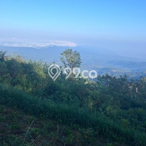 Dijual Tanah Lokasi Munduk, Buleleng Seluas 445m2 Dijual Tanah Lokasi Munduk, Buleleng Seluas 445m2