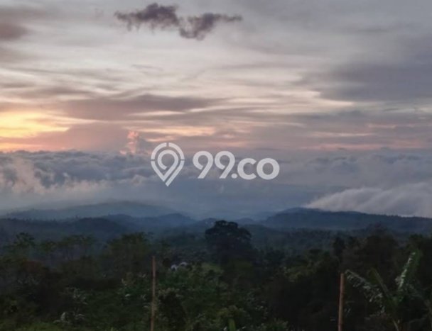 Dijual Tanah Lokasi Gesing, Buleleng Seluas 5225m2 Dijual Tanah Lokasi Gesing, Buleleng Seluas 5225m2