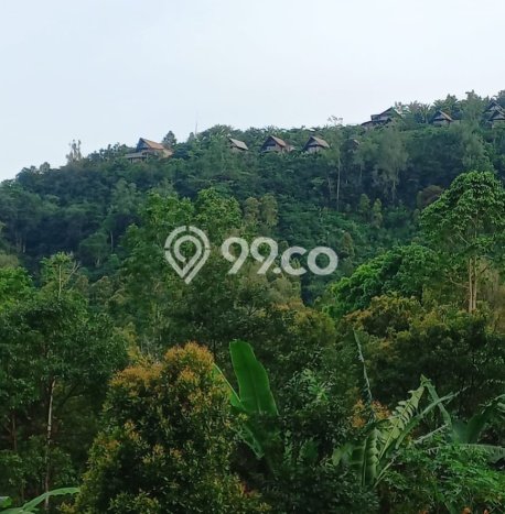 Dijual Tanah Lokasi Munduk, Buleleng Seluas 445m2 Dijual Tanah Lokasi Munduk, Buleleng Seluas 445m2