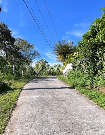 Untuk Dijual Tanah 250m2 di Wanagiri, Buleleng Untuk Dijual Tanah 250m2 di Wanagiri, Buleleng