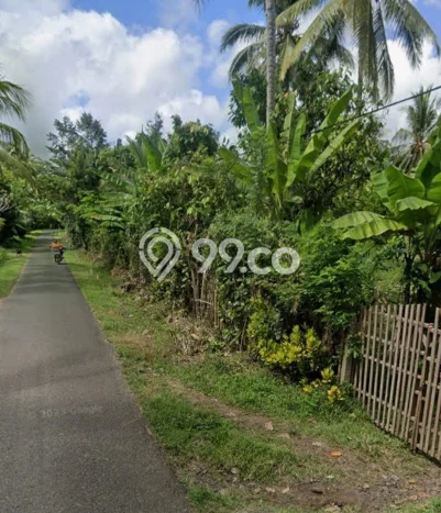 Tanah Siap Bangun Dijual di Jembrana Punya Luas 45000m2 Tanah Siap Bangun Dijual di Jembrana Punya Luas 45000m2