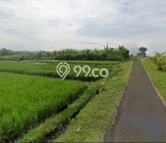 Untuk Dijual Tanah 4805m2 di Pangyangan, Jembrana Untuk Dijual Tanah 4805m2 di Pangyangan, Jembrana