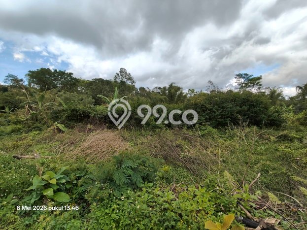 Tanah Dijual Lokasi Kintamani, Bangli Luas 7290m2 Legalitas Aman Tanah Dijual Lokasi Kintamani, Bangli Luas 7290m2 Legalitas Aman