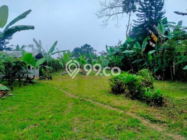 Dijual Tanah di Baturiti Tabanan Luas 2780m2 SHM Dijual Tanah di Baturiti Tabanan Luas 2780m2 SHM