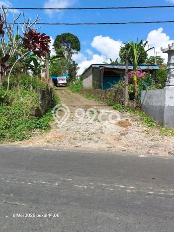 Tanah Dijual Lokasi Kintamani, Bangli Luas 7290m2 Legalitas Aman Tanah Dijual Lokasi Kintamani, Bangli Luas 7290m2 Legalitas Aman