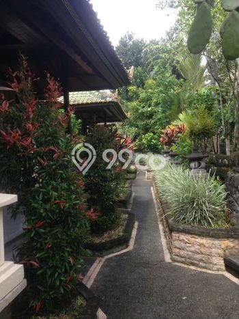 Dijual Tanah di Gianyar, Luas 6030m2 SHM Dijual Tanah di Gianyar, Luas 6030m2 SHM