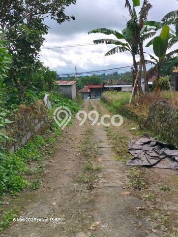 Tanah Dijual Lokasi Kintamani, Bangli Luas 7290m2 Legalitas Aman Tanah Dijual Lokasi Kintamani, Bangli Luas 7290m2 Legalitas Aman
