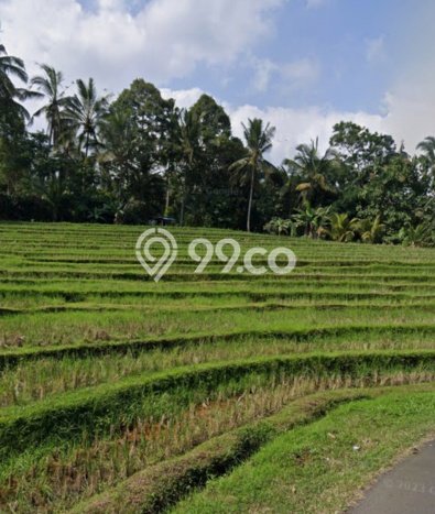 Tanah Dijual Area Strategis di Megati Tabanan 8750m2 Tanah Dijual Area Strategis di Megati Tabanan 8750m2