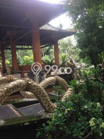 Dijual Tanah di Gianyar, Luas 6030m2 SHM Dijual Tanah di Gianyar, Luas 6030m2 SHM