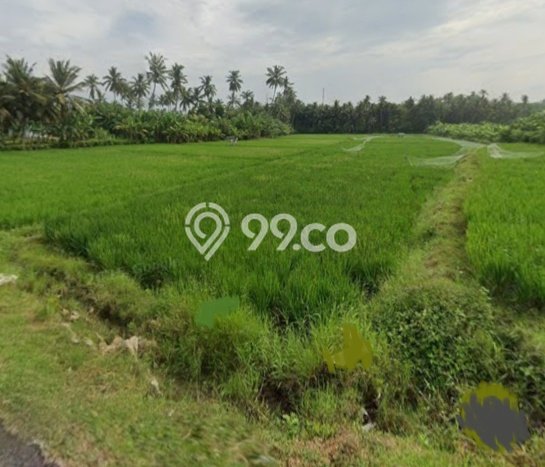 Untuk Dijual Tanah 4805m2 di Pangyangan, Jembrana Untuk Dijual Tanah 4805m2 di Pangyangan, Jembrana