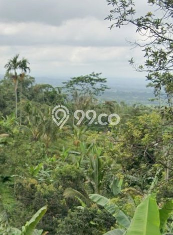 Tanah Dijual Lokasi Strategis di Tabanan dengan Luas 2640m2 Tanah Dijual Lokasi Strategis di Tabanan dengan Luas 2640m2