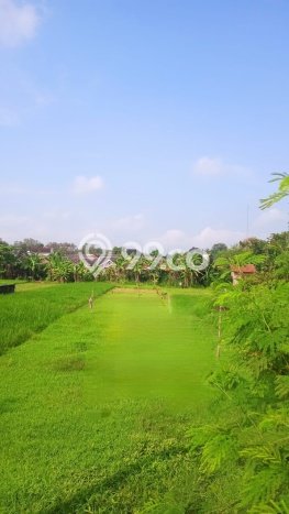 Tanah Dijual Lokasi Sewon, Bantul dengan Luas Tanah 258m2 dan Status SHM Tanah Dijual Lokasi Sewon, Bantul dengan Luas Tanah 258m2 dan Status SHM