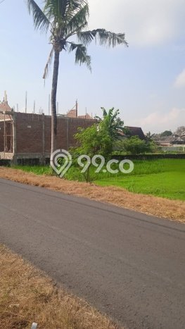 Tanah Dijual Lokasi Sewon, Bantul dengan Luas Tanah 258m2 dan Status SHM Tanah Dijual Lokasi Sewon, Bantul dengan Luas Tanah 258m2 dan Status SHM