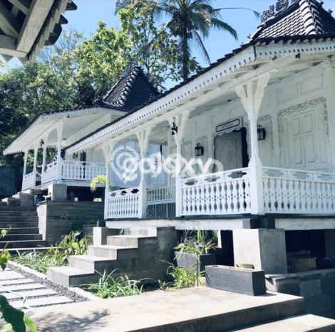Vila Kawasan Payangan, Area 1600m², Cocok untuk berbagai keperluan Vila Kawasan Payangan, Area 1600m², Cocok untuk berbagai keperluan