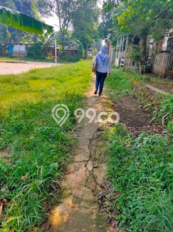 Tanah Kavling di Cibinong Dijual dengan Luas 9950m2 Tanah Kavling di Cibinong Dijual dengan Luas 9950m2