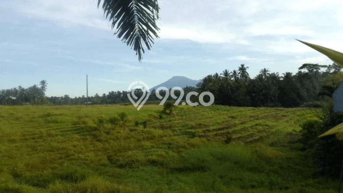 Rumah Modern Minimalis 1 KT Siap Huni di Kerambitan Rumah Modern Minimalis 1 KT Siap Huni di Kerambitan