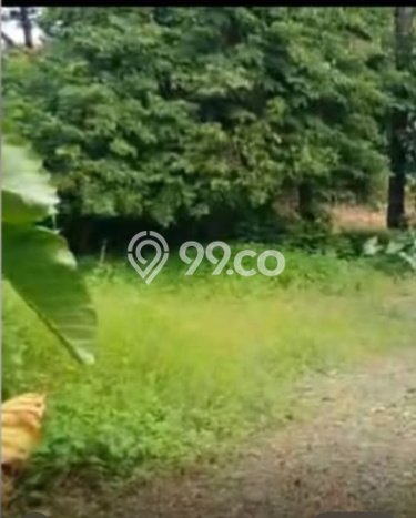 Lahan Kosong Dijual di Jakarta Pusat dengan Area 700m2 Lahan Kosong Dijual di Jakarta Pusat dengan Area 700m2